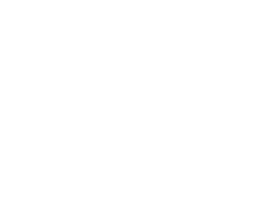 Logo Miami Calella